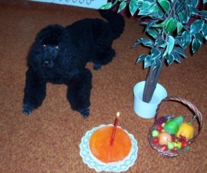 Alexander z Černého panství (foto 2)