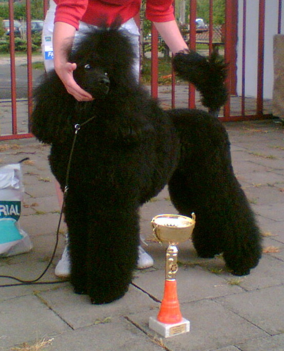 Stázka - KV Hlučín 2007