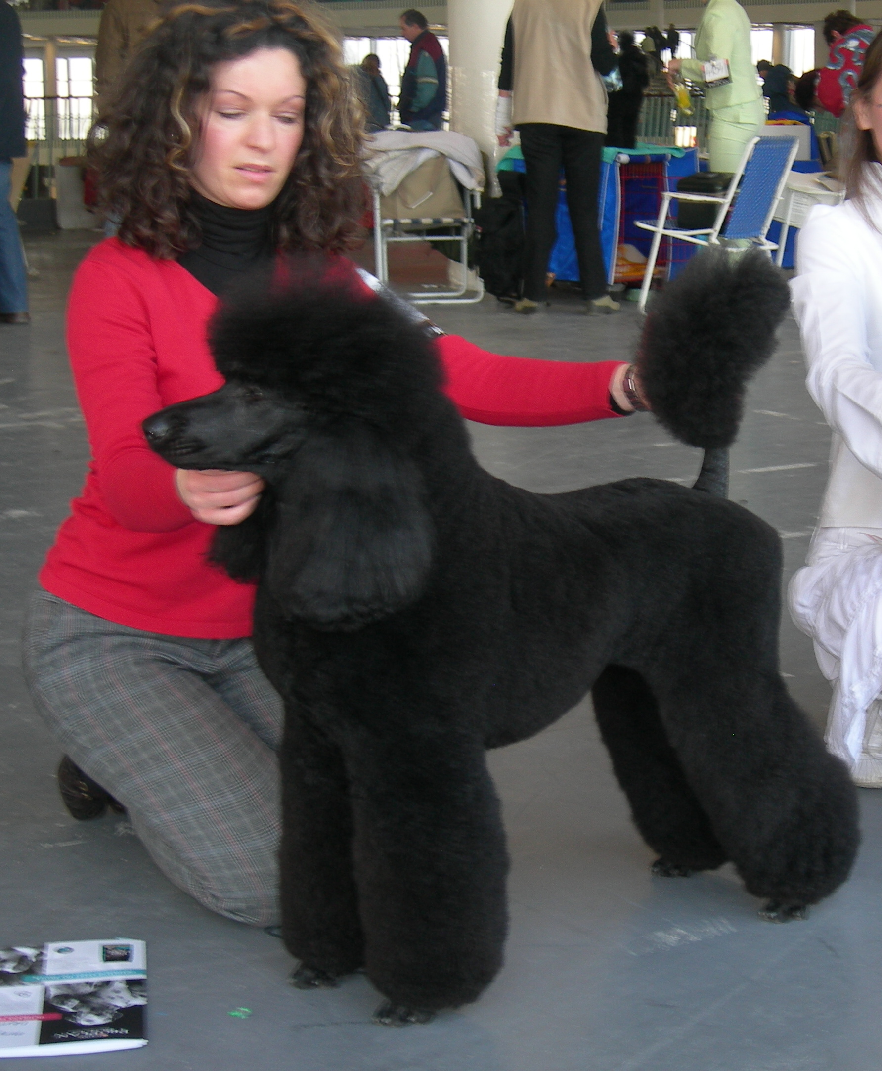 Andromeda  - MVP Brno 2007